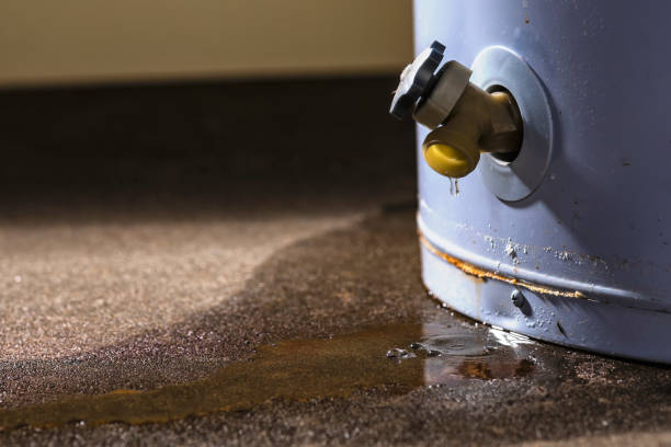 Best Local water damage restoration  in Lake Mohegan, NY
