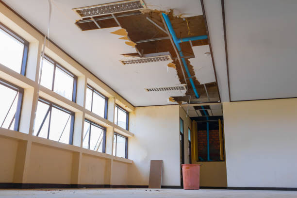 Best Water damage repair service  in Lake Mohegan, NY