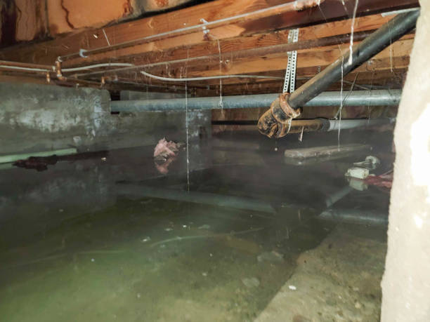 Best Water damage restoration experts  in Lake Mohegan, NY