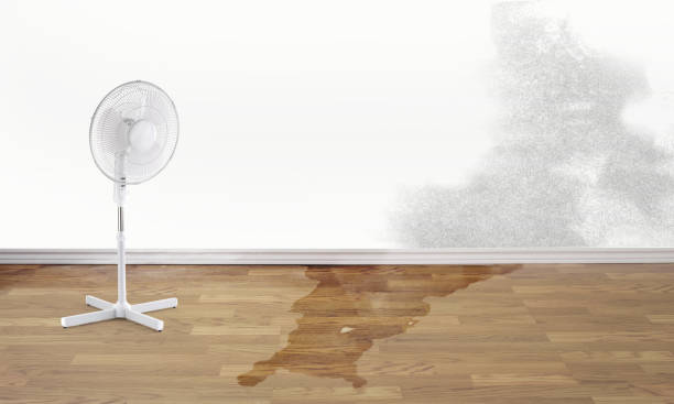Best Water damage restoration near me  in Lake Mohegan, NY