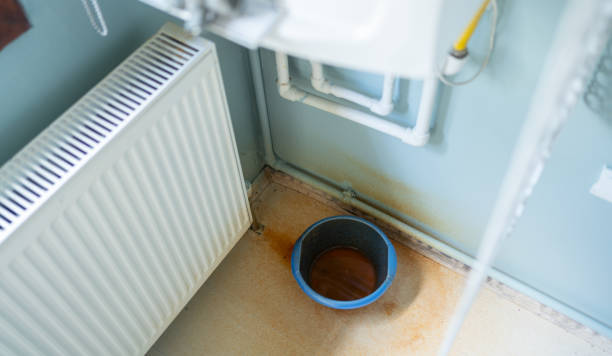 Best Ceiling water damage repair  in Lake Mohegan, NY