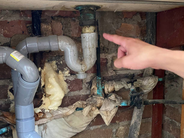 Best Mold removal after water damage  in Lake Mohegan, NY