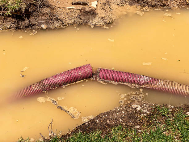 Best Water damage restoration near me  in Lake Mohegan, NY